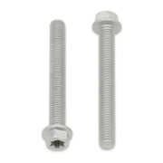 Bolt Euro Torx 6x20mm Flange Bolt (Packet of 10) Refill
