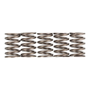 Premier Clutch Springs - Heavy Duty