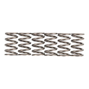 Premier Clutch Springs - Heavy Duty