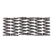 Premier Clutch Springs - Heavy Duty