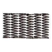 Premier Clutch Springs - Heavy Duty
