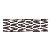 Premier Clutch Springs - Heavy Duty
