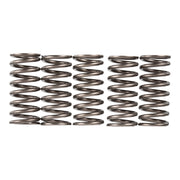 Premier Clutch Springs - Heavy Duty