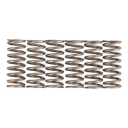 Premier Clutch Springs - Heavy Duty