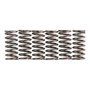 Premier Clutch Springs - Heavy Duty