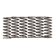 Premier Clutch Springs - Heavy Duty
