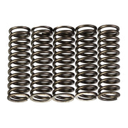 Premier Clutch Springs - Heavy Duty