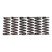 Premier Clutch Springs - Heavy Duty