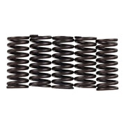 Premier Clutch Springs - Heavy Duty