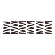 Premier Clutch Springs - Heavy Duty