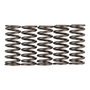 Premier Clutch Springs - Heavy Duty