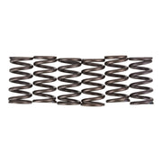 Premier Clutch Springs - Heavy Duty