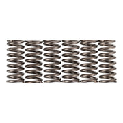 Premier Clutch Springs - Heavy Duty
