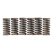 Premier Clutch Springs - Heavy Duty