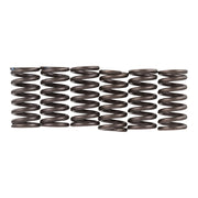 Premier Clutch Springs - Heavy Duty