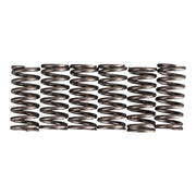 Premier Clutch Springs - Heavy Duty