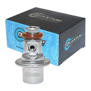 Quantum In-Tank EFI Fuel Pump with Regulator, Tank Seal & Filter