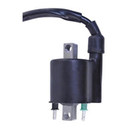 External Ignition Coil Assorted Polaris Models RFR Fitments