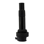 IGN STICK COIL BMW K 1600 BAGGER 17-21'