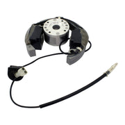 Stator + Rotor + Ignition Coil Kit (RMS900-107608)