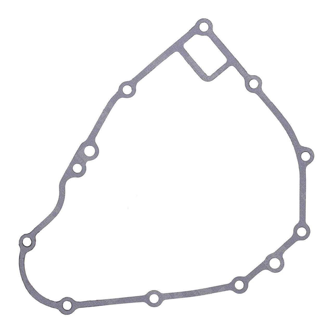 Ignition Cover Gasket Kit 816119