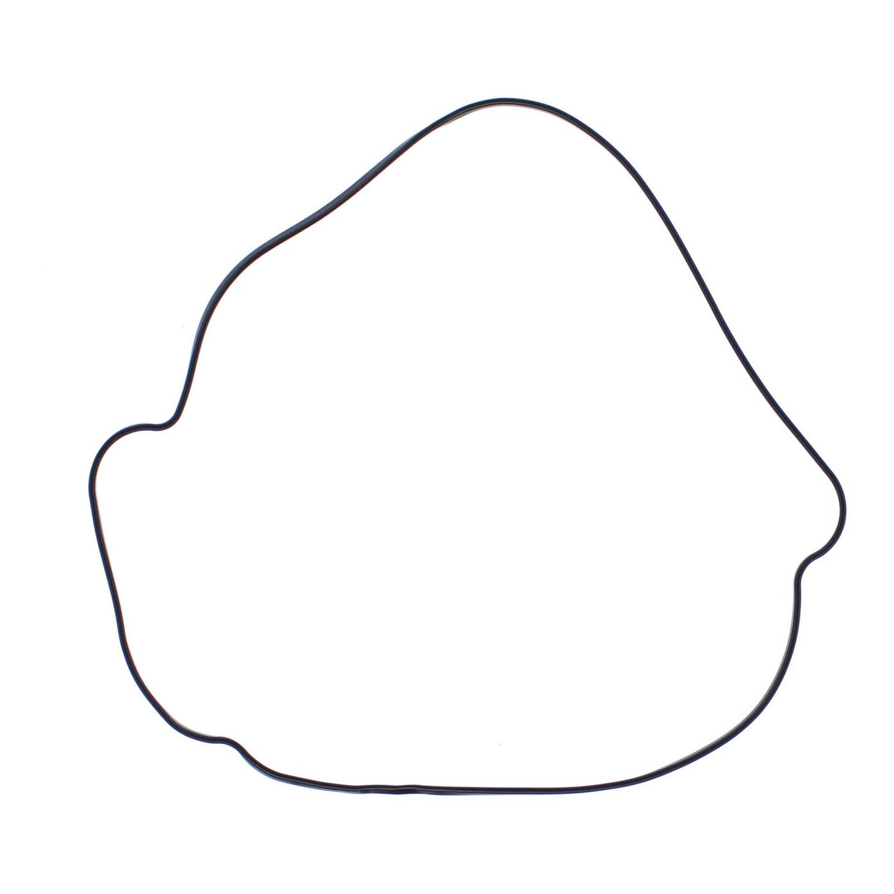 Outer Clutch Gasket Kit 817987