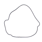 Outer Clutch Gasket Kit 817987