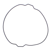 Outer Clutch Gasket Kit 819054