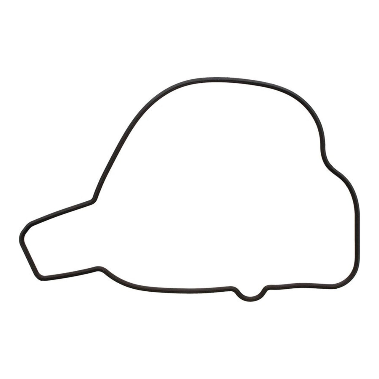 Ignition Cover Gasket Kit 819210