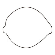 Outer Clutch Gasket Kit 819267