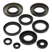Oil Seal Kit 822247