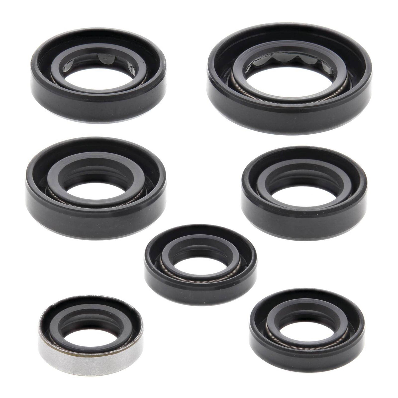 Oil Seal Kit 822289