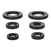 Oil Seal Kit 822391