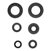 Oil Seal Kit 822391
