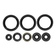Oil Seal Kit 822403