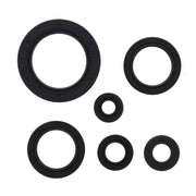 Oil Seal Kit 822978
