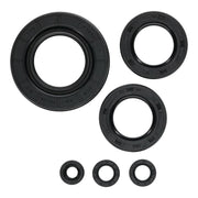 Oil Seal Kit 822997