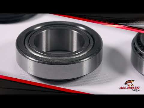 Steering Head Bearing & Seal Kit 22-1066